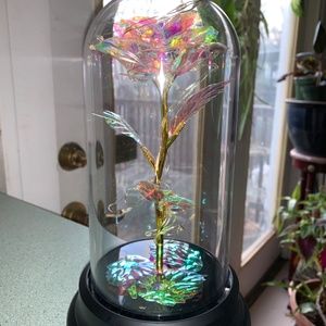 Beauty + The Beast flower Light